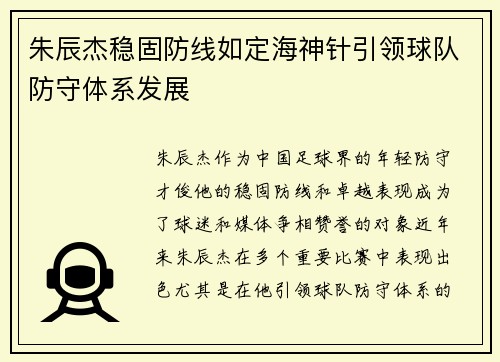 朱辰杰稳固防线如定海神针引领球队防守体系发展